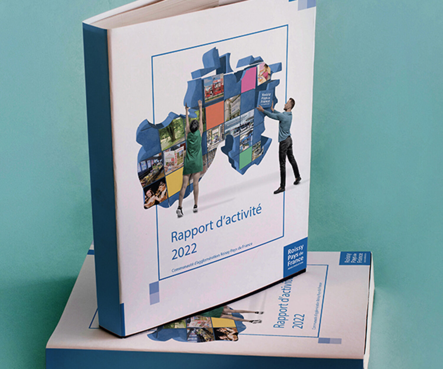 Rapport annuel pour une collectivité territoriale